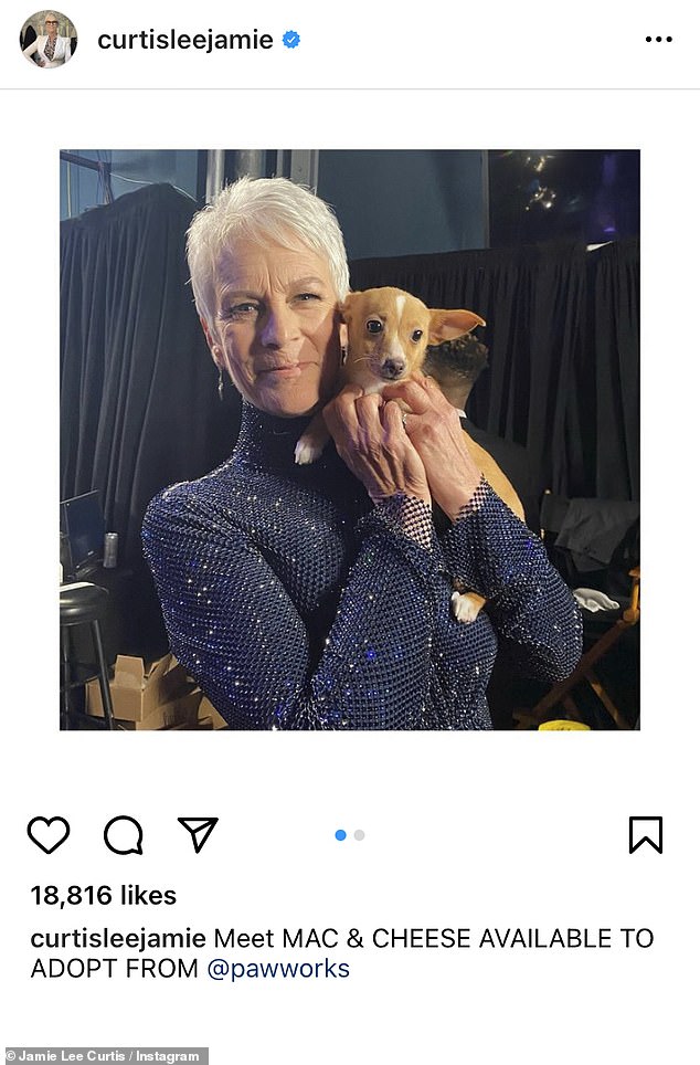 Best Co-Star: Curtis couldn't help but flaunt her sweet puppy before taking the stage to honor Hollywood icon Betty White, who's as famous for her comedic presence as for her tireless campaigning for animal rescue organizations