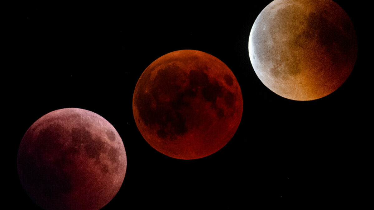 What do you know about the lunar eclipse tonight in Sebastian - Sebastian Daily
