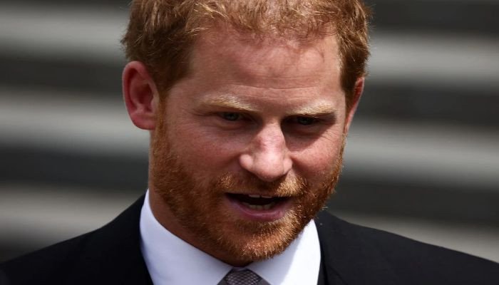 The author reveals who could be the villains in Prince Harry's diary