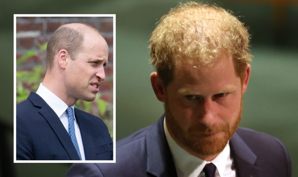Prince William contemplates 'what to do about Prince Harry' as the Duke flouts the Queen's royal rule |  Royal |  News