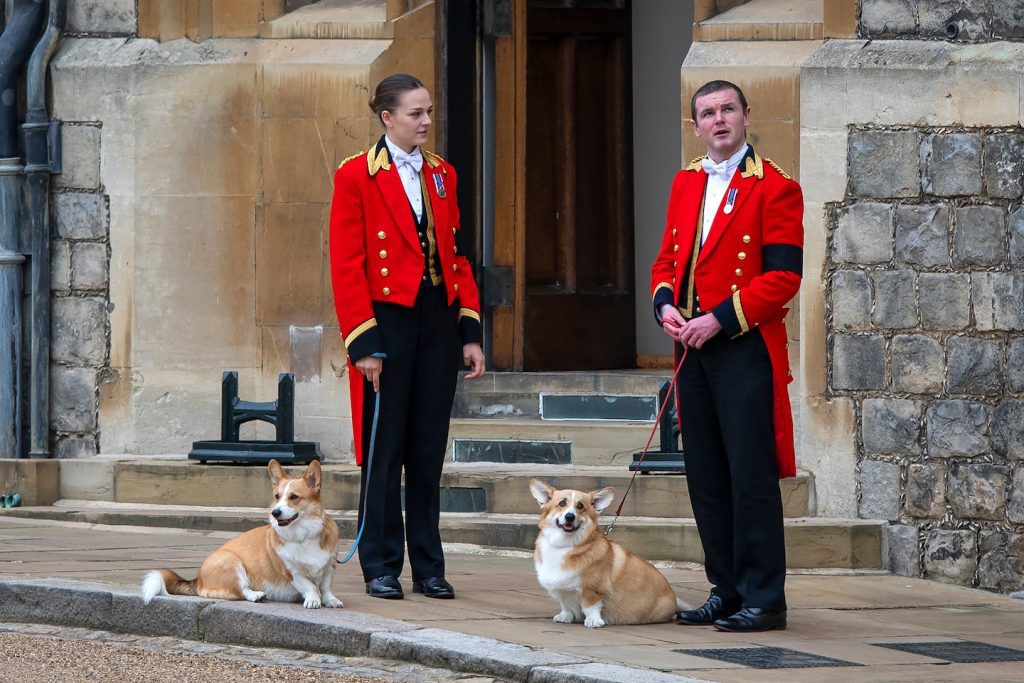 Queen Elizabeth's dogs, pony: the role animals played at the funeral
