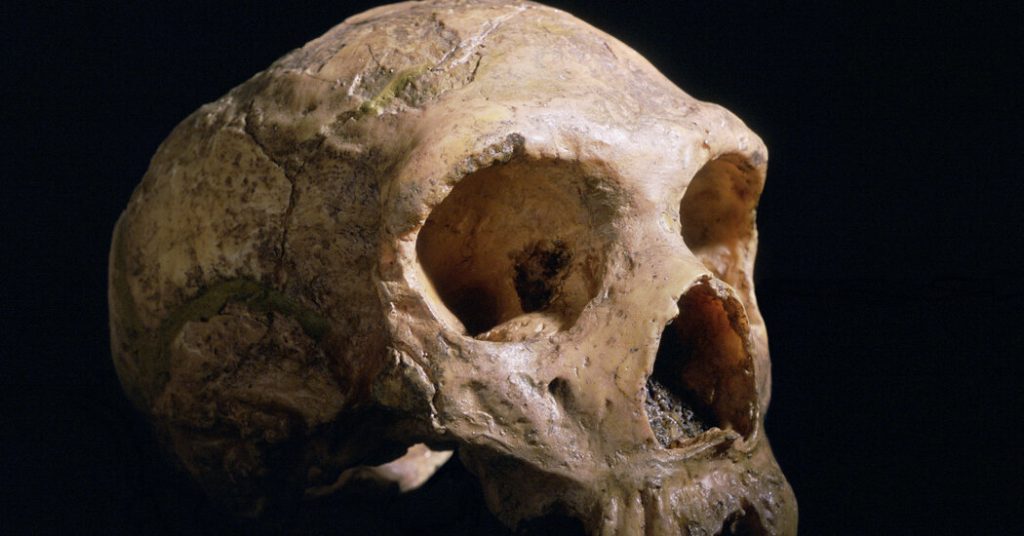 What makes your brain different from a Neanderthal?