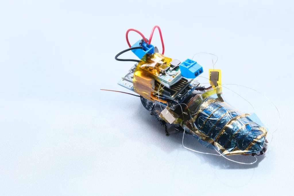 Robotics engineers make cyborg cockroaches, robot flies and more