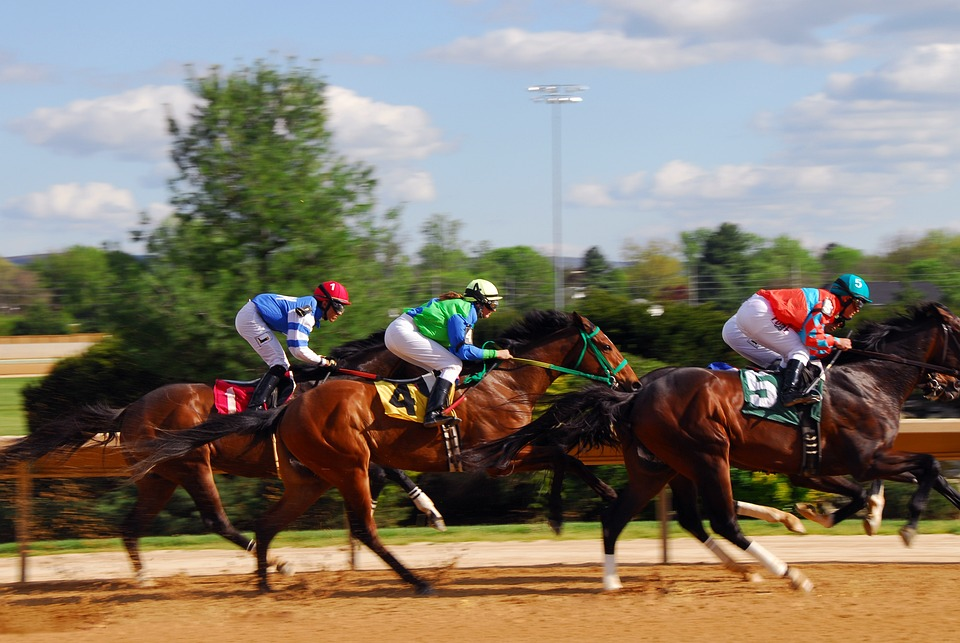 5 Profitable Horse Racing Strats That Professional Bettors Recommend