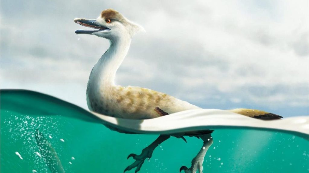 A newly discovered dinosaur that looks like a nightmare goose