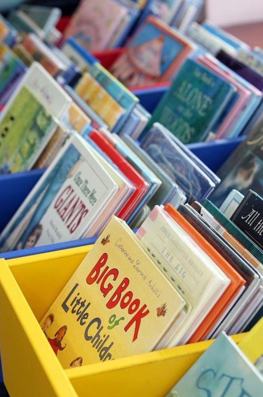 Essential Tips to Nail Your First Children’s Book